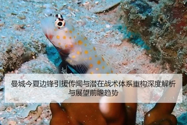 曼城今夏边锋引援传闻与潜在战术体系重构深度解析与展望前瞻趋势